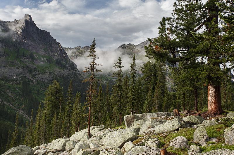 ергаки, саяны, озеро художников, сибирь, пейзаж, красиво, лето, горы У озера Художниковphoto preview