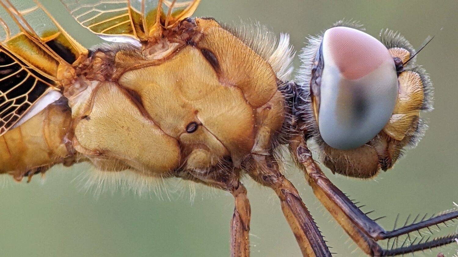 Автор: QUYET NGUYEN TRONG , QUYET NGUYEN TRONG