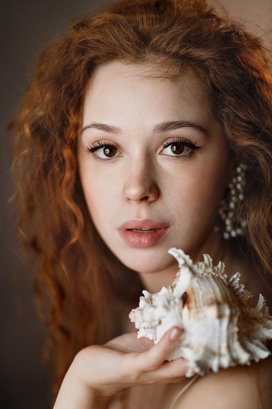 Ракушкаphoto preview