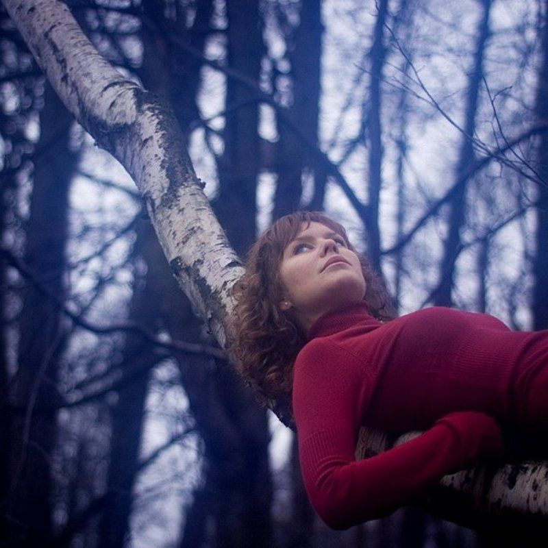 колыбель, для, кошки колыбель для кошкиphoto preview