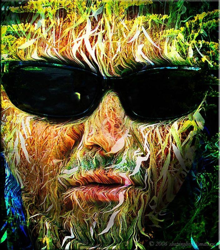 Мимикрияphoto preview