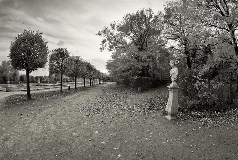 кусково, зенитар 16мм бюст справаphoto preview