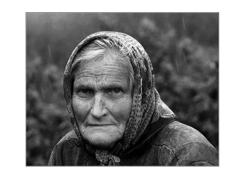 portetus ***photo preview