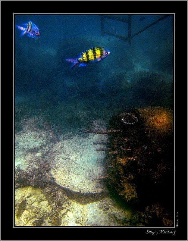 Цивилизация. Наследилиphoto preview