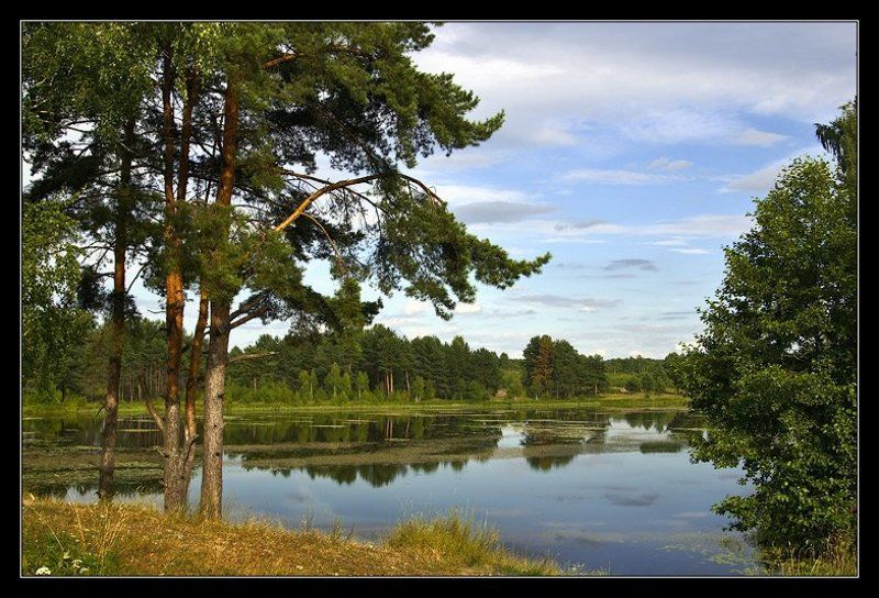 Река сосны утро тишина ~ 050 ~photo preview