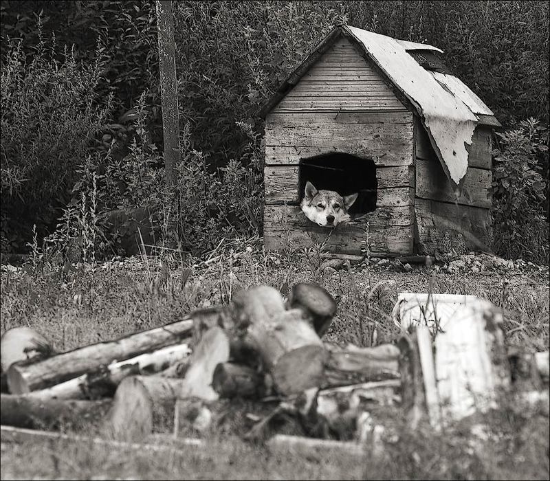 Сторожphoto preview