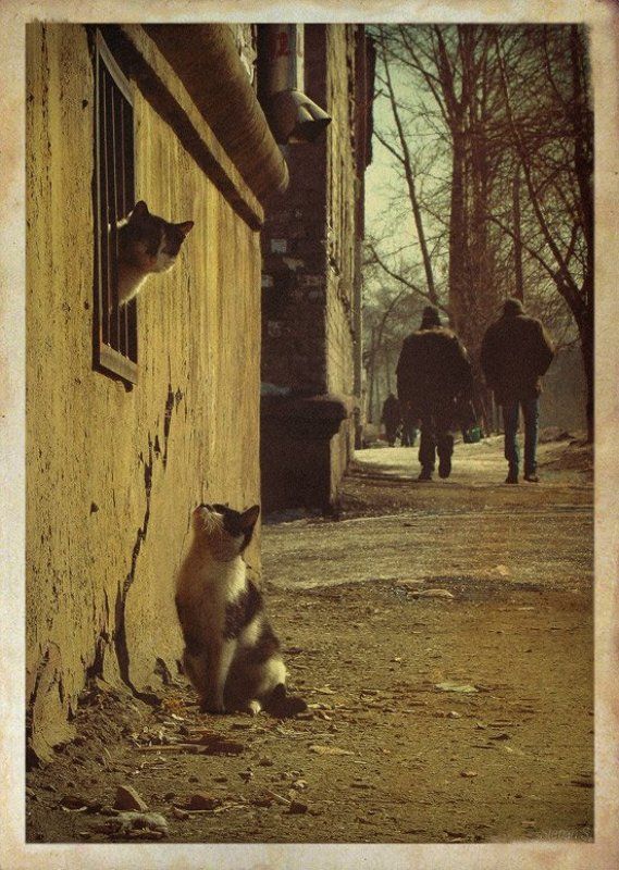 Барнаул, весна, А ты уверен?photo preview