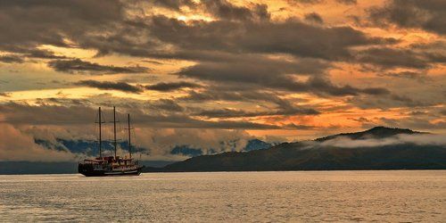 Tui Tai