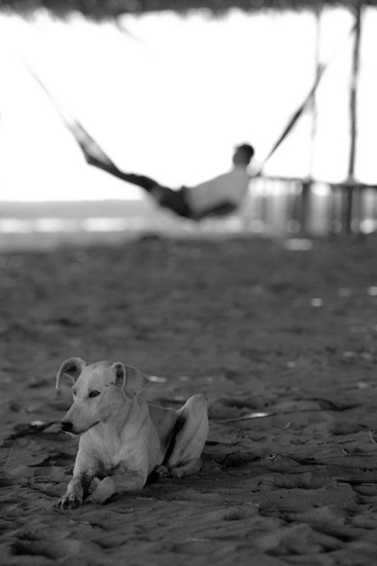 Иногда счастливым быть так просто 3photo preview