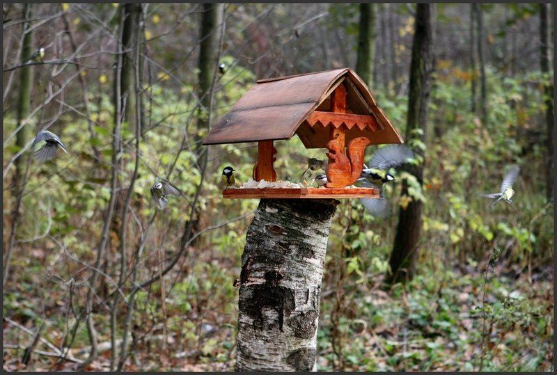 Sini4kiphoto preview