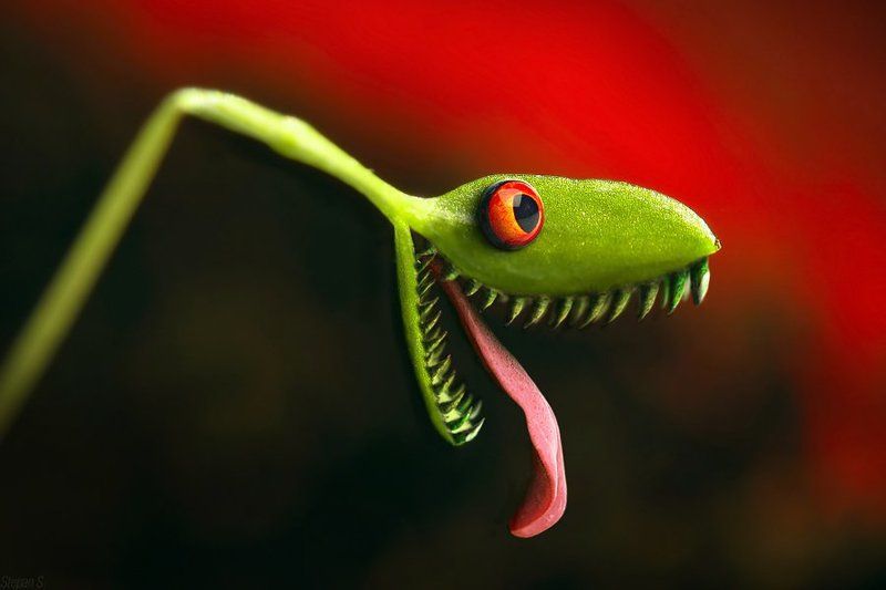 ура, хозяин, вернулся Ура, хозяин вернулся!!!photo preview