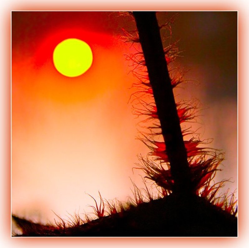 Выше солнцаphoto preview