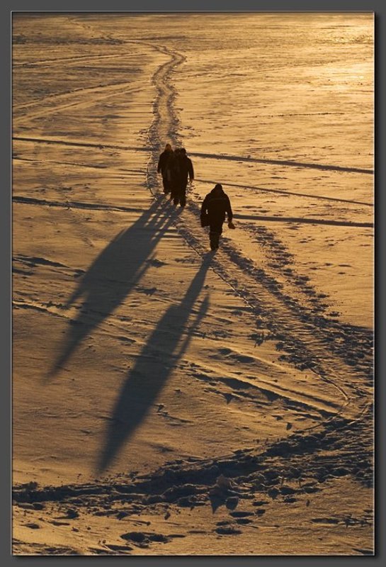 Домойphoto preview