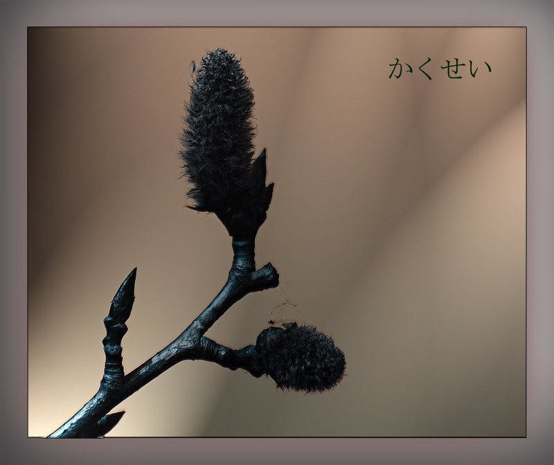 Пробуждениеphoto preview