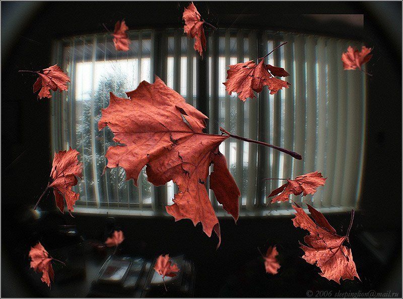 а за окном падал снег... Медленное падениеphoto preview