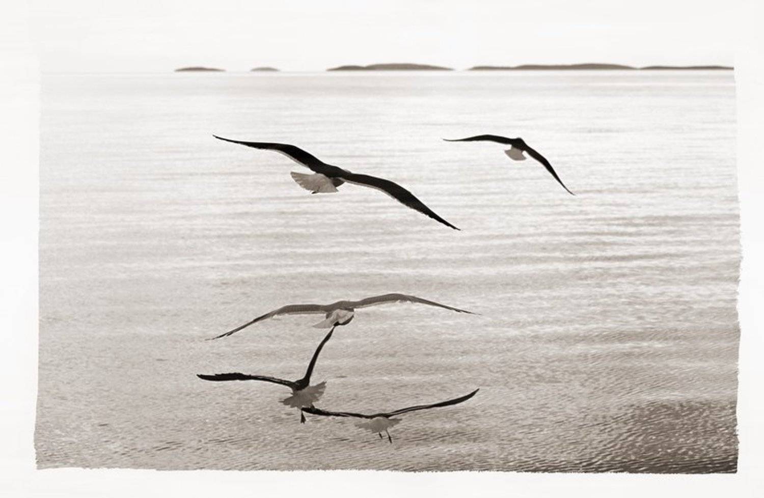 соловки, Eland