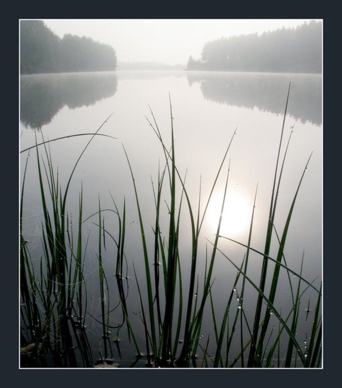 хрустальное утро..., света ошметкова Хрустальное утро..photo preview