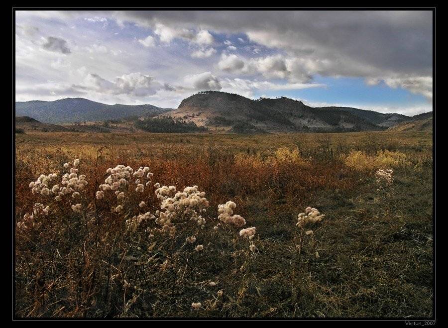 осень, долина, степь, горы, цветы, бурятия, Игорь Глушко