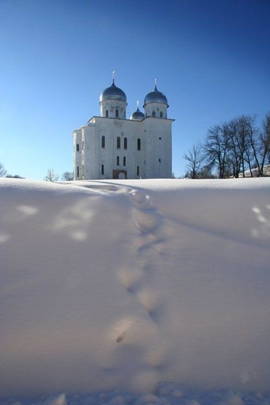 Тропаphoto preview