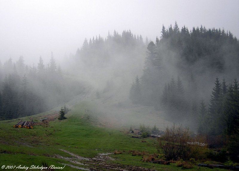 горы, карпаты, лес, туман, украина Горный туманphoto preview