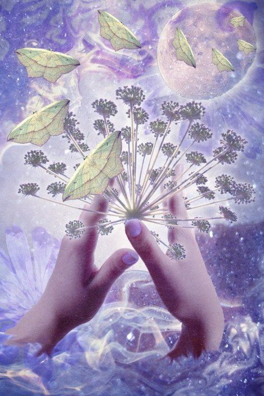 Universal Lullabyphoto preview