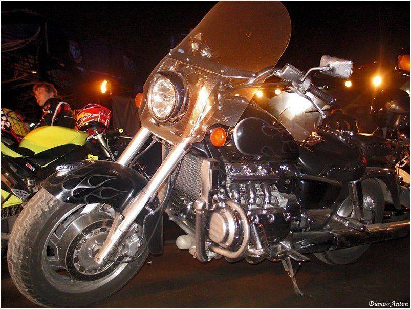 Опозит (спешл фор Луннатик Ежик). Автор: Тоша байкеры, night wolfs, ночные волки, Тоша