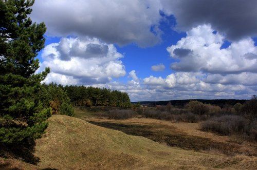 Про овраг на краю леса