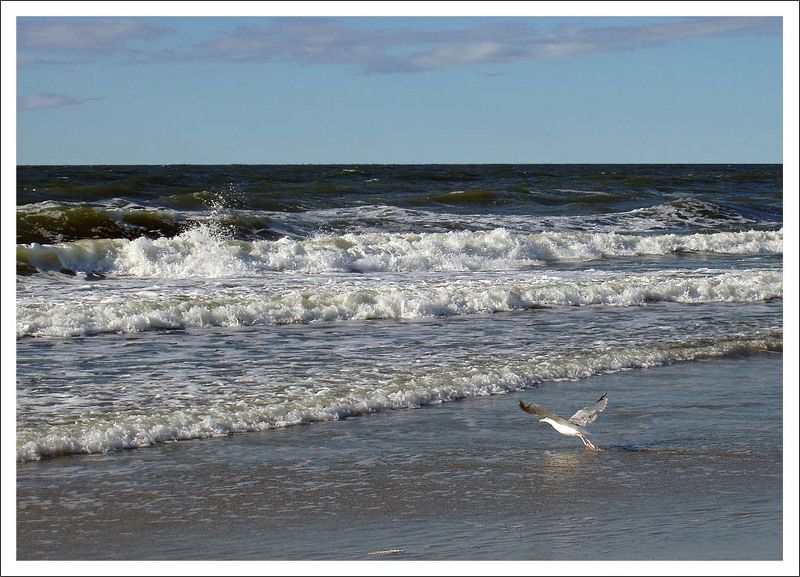 пиллау, балтийск, море, лето На Балтикеphoto preview