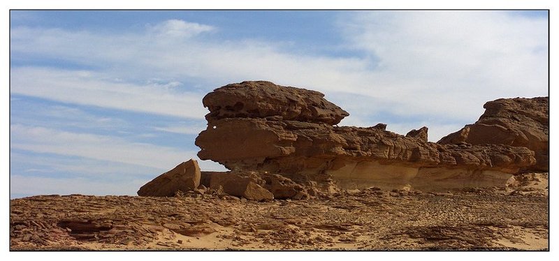 Сфинкс некаирскийphoto preview