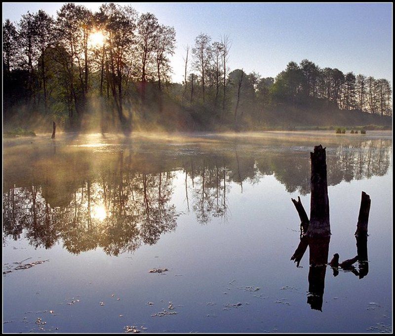 Весна...photo preview