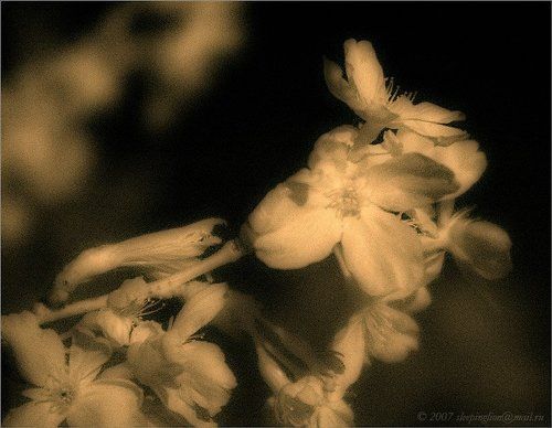 Day is tender