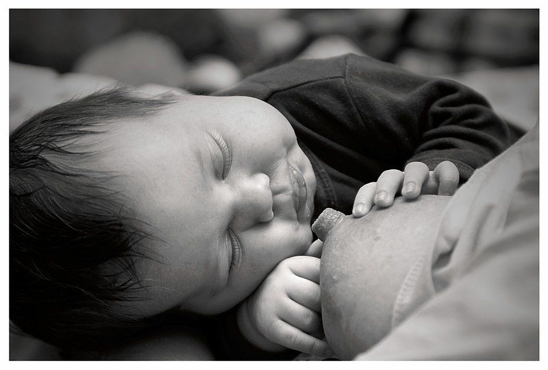 Умаялся...photo preview