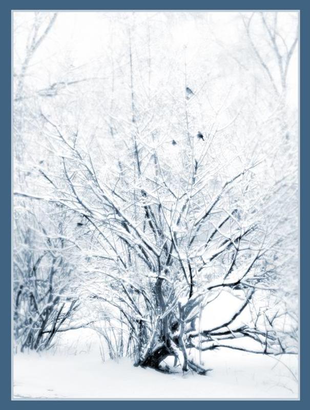 Один из дней Весны 2007photo preview