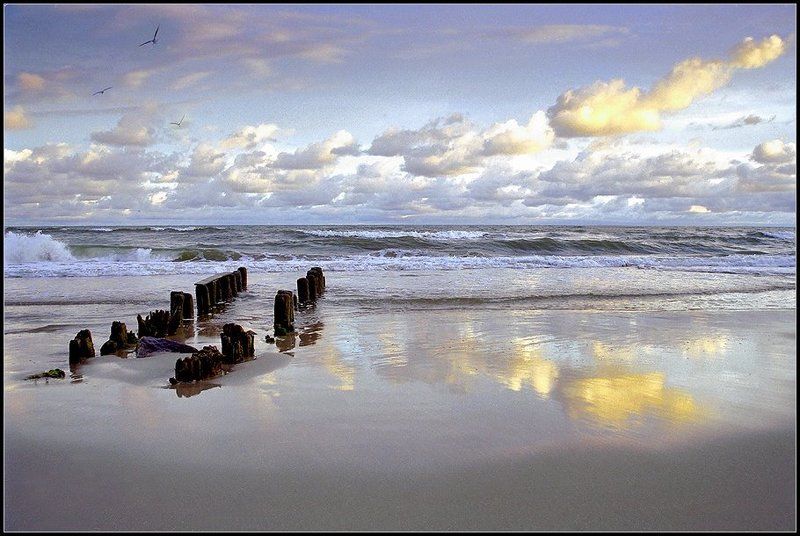 Балтикаphoto preview