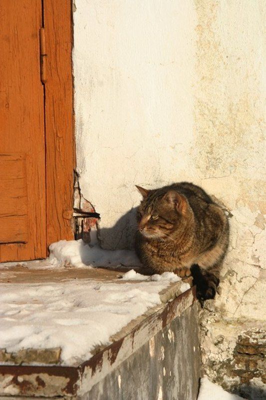 У стенкиphoto preview