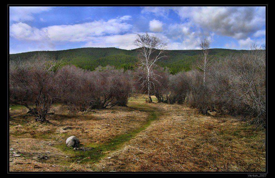 По тропке гуляла Весна.... Автор: Игорь Глушко весна, лес, горы, бурятия, Игорь Глушко