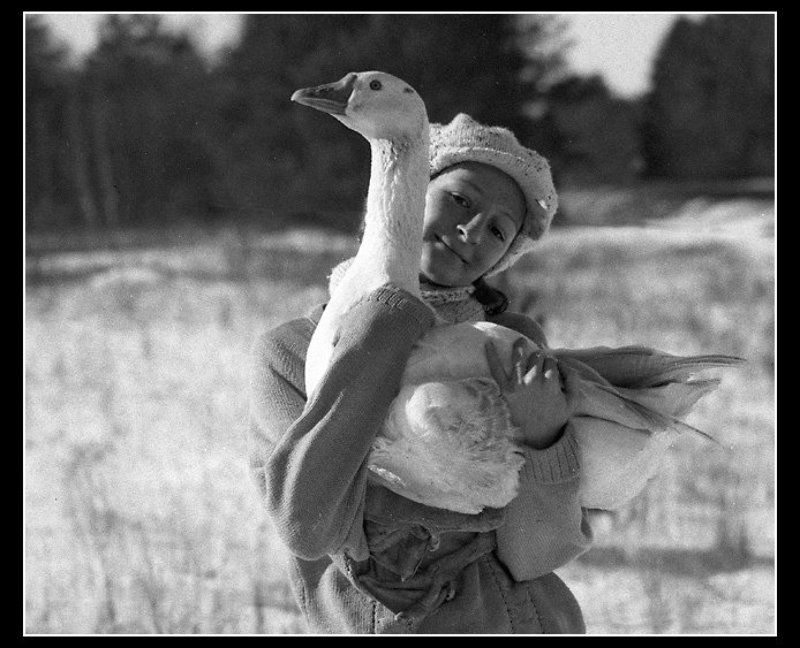 Продолжим дело Паниковского...photo preview