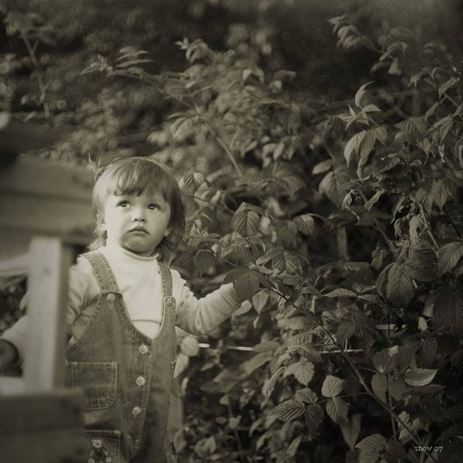 .nika. Автор: Michael Eliseev , Michael Eliseev