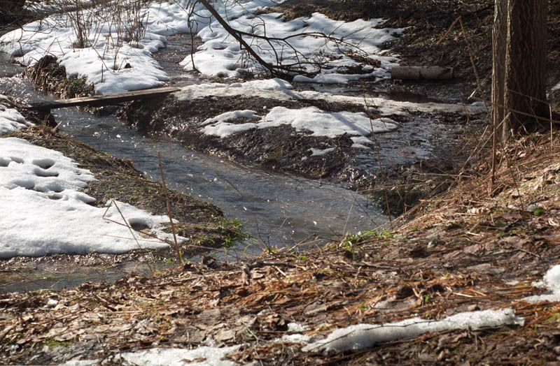 линии, ручей, природа Линии весныphoto preview