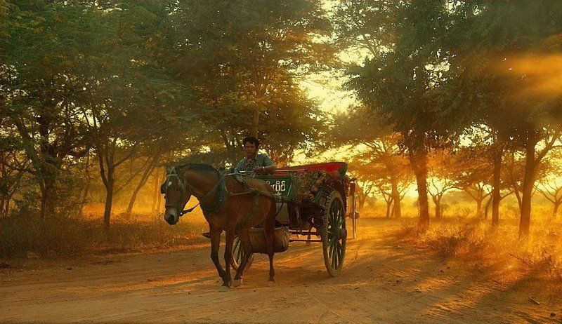 Sun chariot