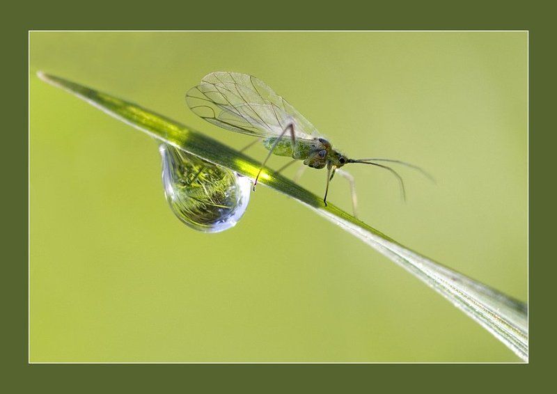 Этот Большой маленький Мирphoto preview