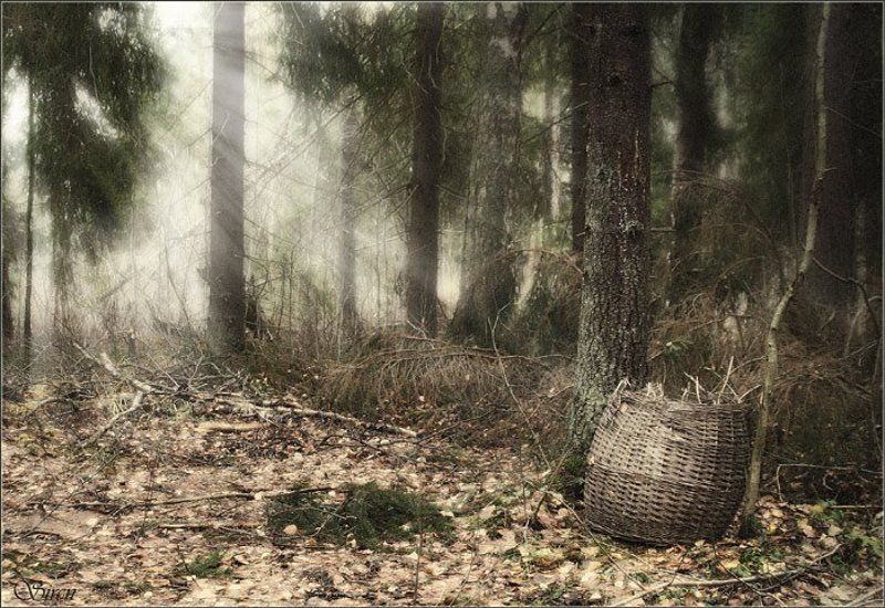 Забытый кузовокphoto preview