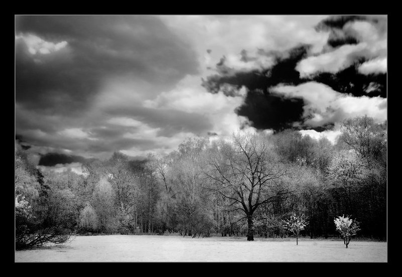 ик, infra red, инфракрасная съемка photo preview