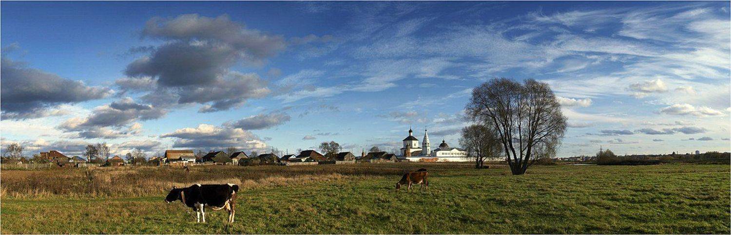 Про молоко панорамка. Автор: Михаил Курцев , Михаил Курцев