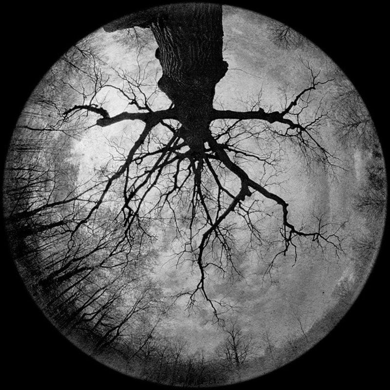 пеленг 8мм лунная. втораяphoto preview