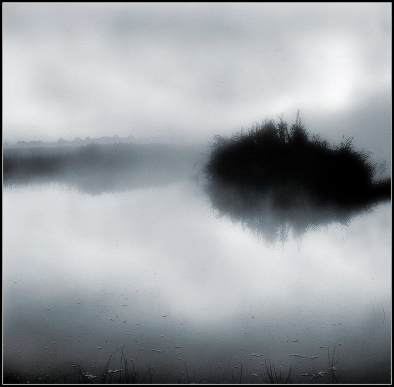 Ежик в тумане...photo preview