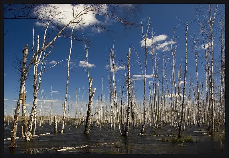 вода Половодьеphoto preview