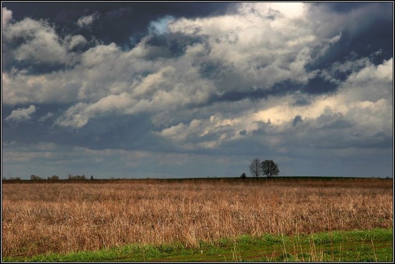 поле, трава, небо, туча, облако, дорога, цвет, дерево, двое, лес, dyadyavasya Двое в полеphoto preview