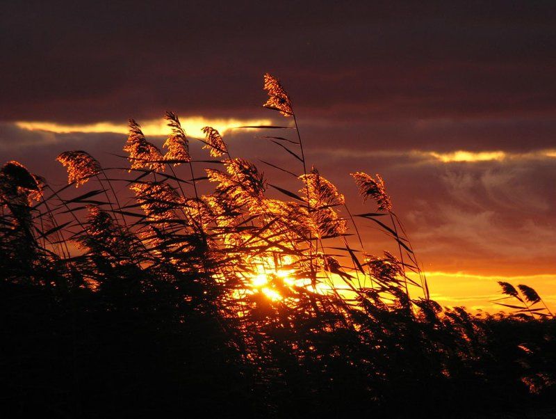ладога, закат Звезда по имени - Солнцеphoto preview