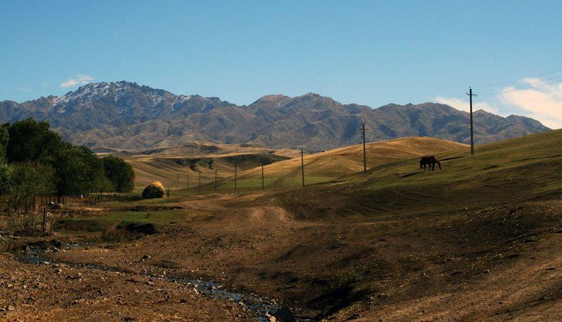 казахстан алтын емель Пастбищаphoto preview